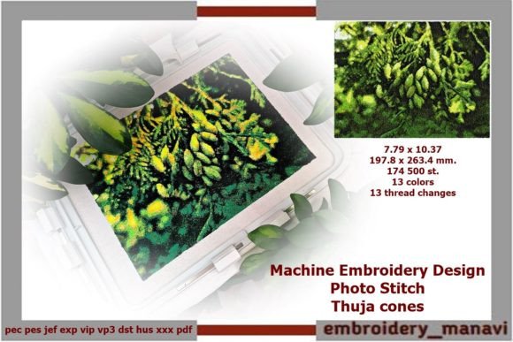 Reviewing Embroidery Photo Stitch Thuja Cones for Boutique Apparel
